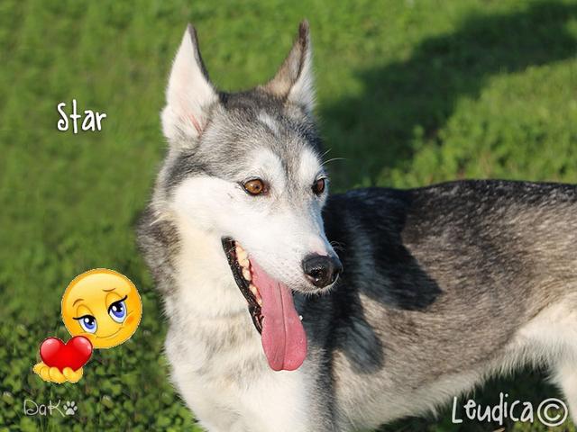 Star ha trovato casa!